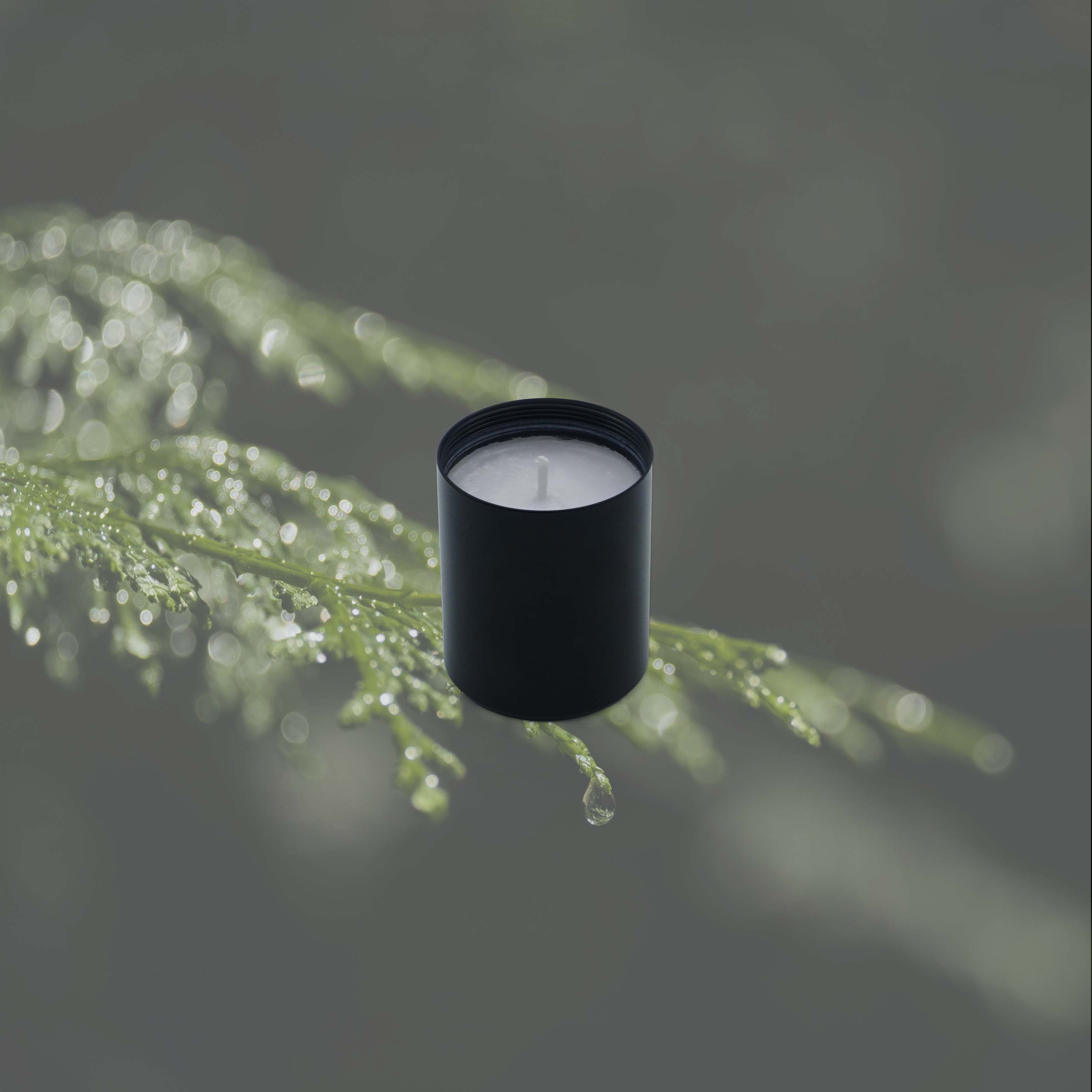 H-01 HINOKI ヒノキ(CANDLE MINI)