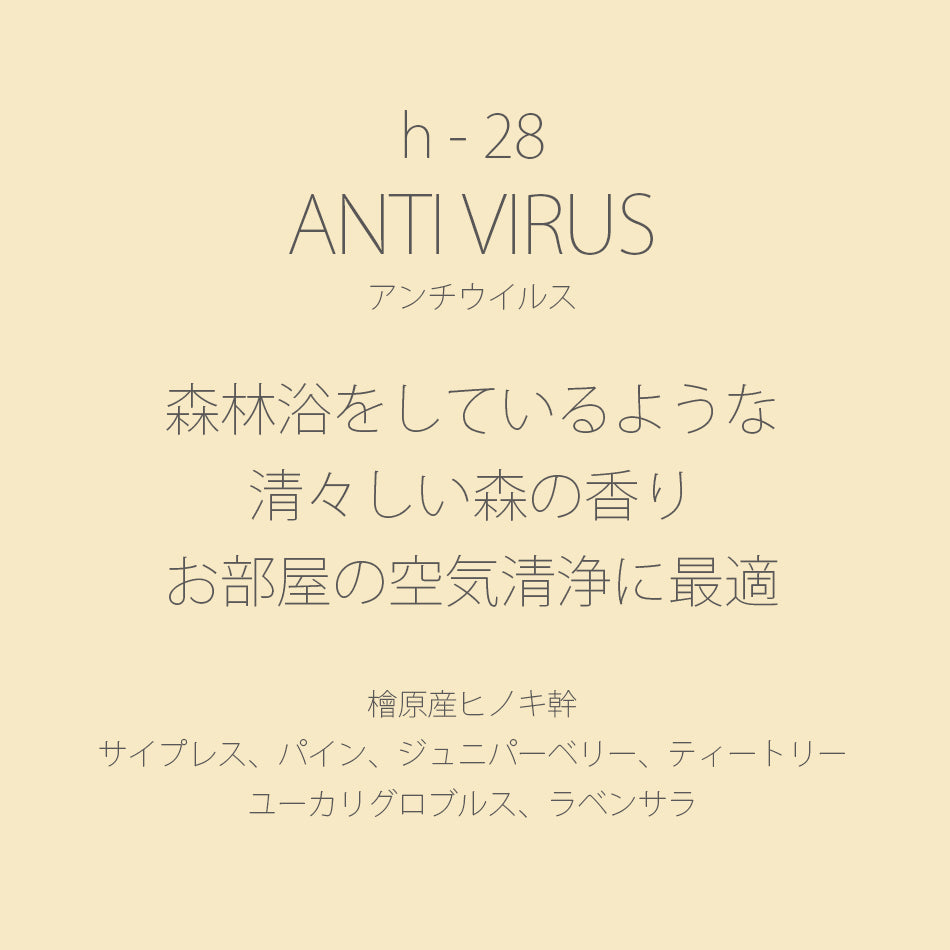 h-28 ANTI VIRUS［アンチウイルス］