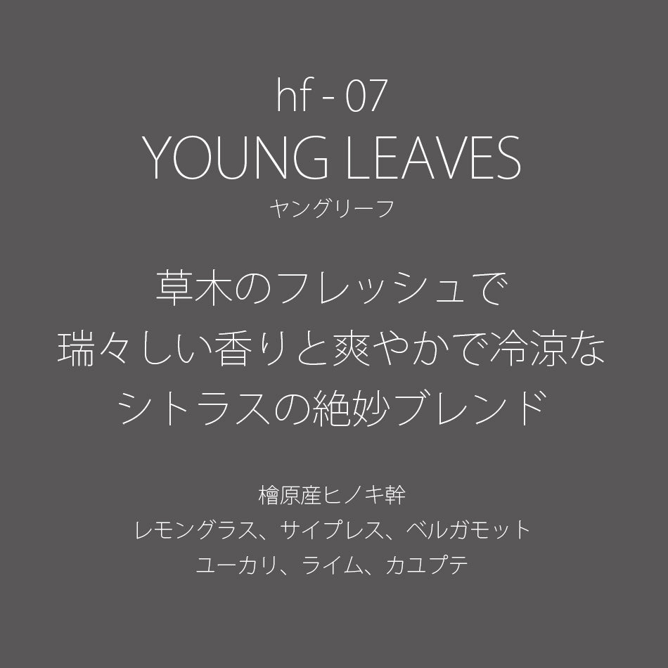 hf-07 YOUNG LEAVES［ヤングリーフ］